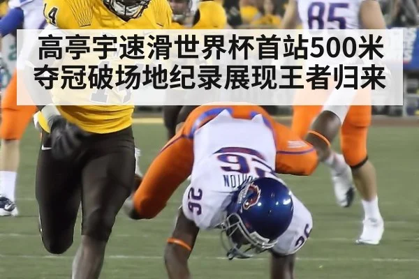高亭宇速滑世界杯首站500米夺冠破场地纪录展现王者归来