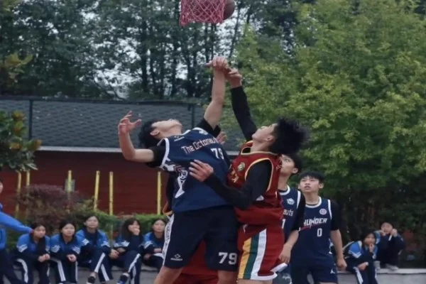 新赛季NBA训练营：萨克拉门托国王萨博尼斯与拉文西部竞争分析